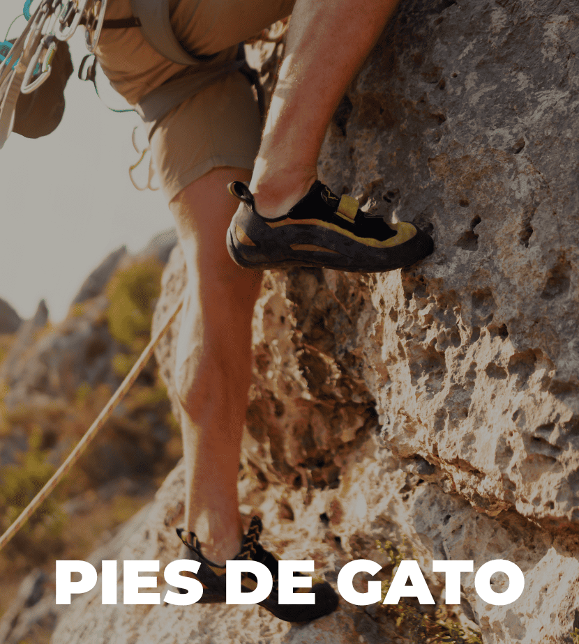 Mountain Sport: tienda online de material outdoor. Compra botas, mochilas y equipos para tus aventuras al aire libre con envío gratis